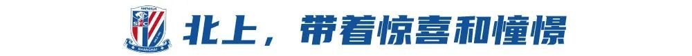 的开放战略已经日渐成熟展示图片