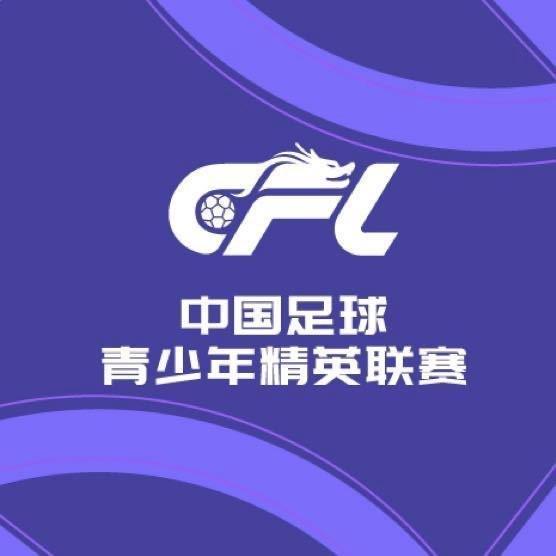 专业的开放战略已经日渐成熟服务